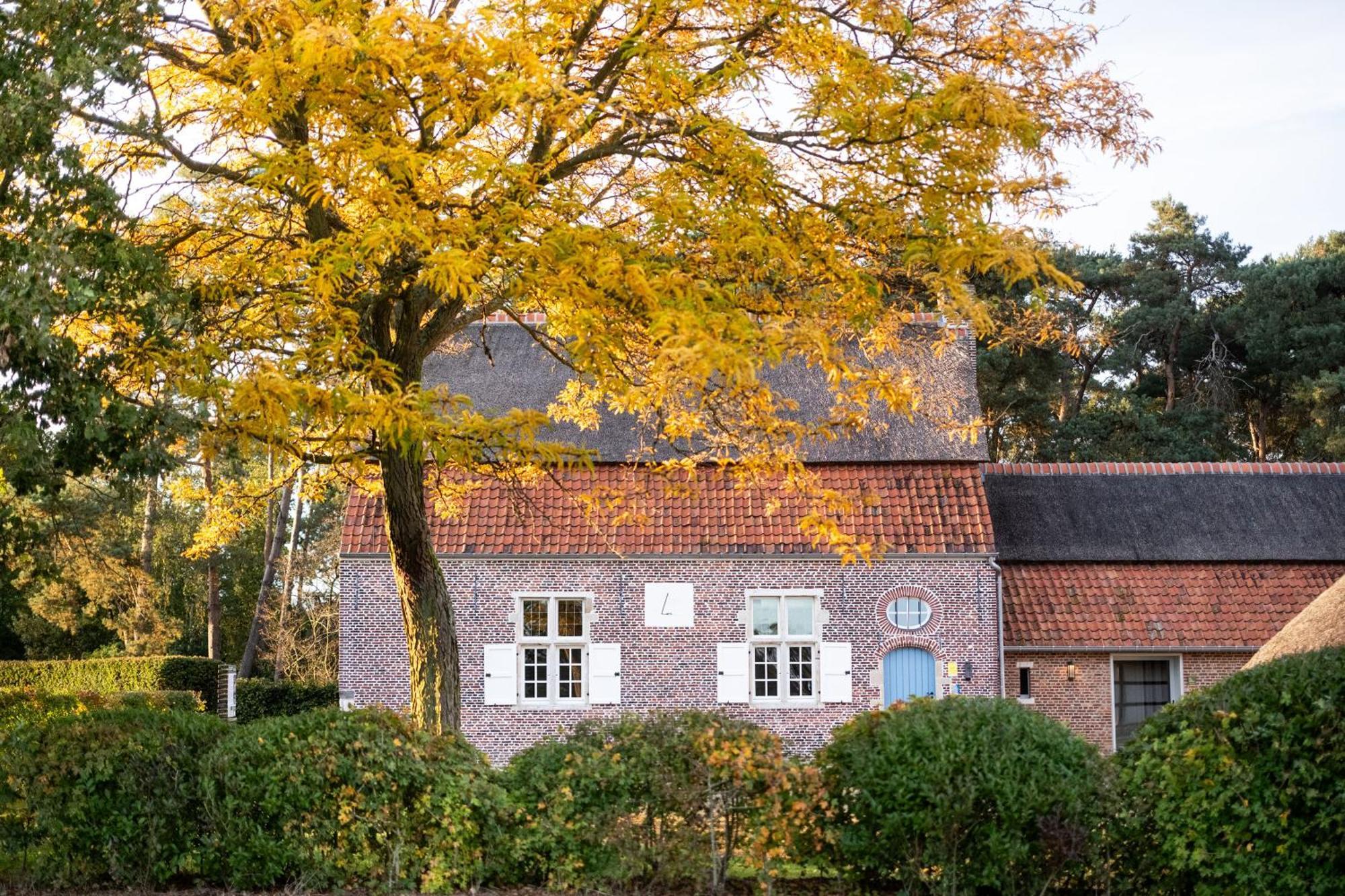 Beddermolen - Molenhuis Op Historisch Erfgoeddomein Westerlo Exteriér fotografie